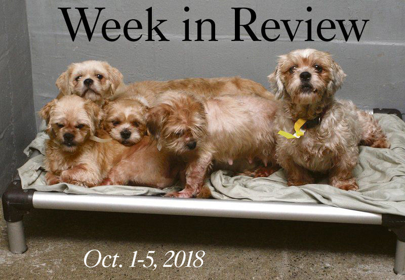 Week in Review: Oct. 1-5, 2018
